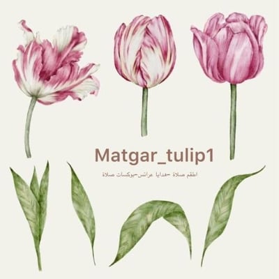Matgar_Tulip1 logo