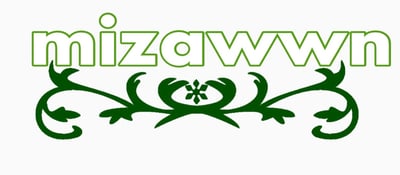 مزون logo