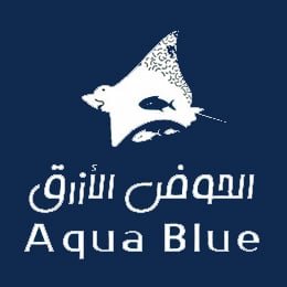 Aqua blue logo