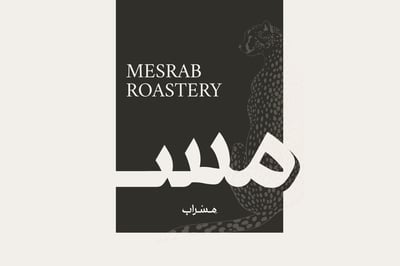 Mesrab logo