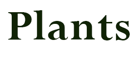 PLANTS logo