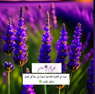 عوالم البنفسج logo