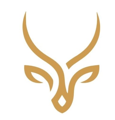 SILARVA logo