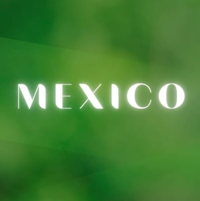 Mexico Store logo