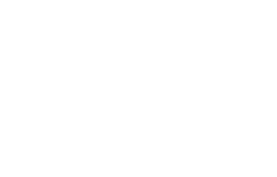 فليرا | Vliera Logo