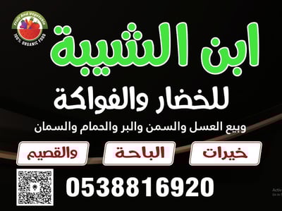 ابن الشيبة logo