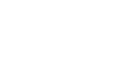 Fitronics logo