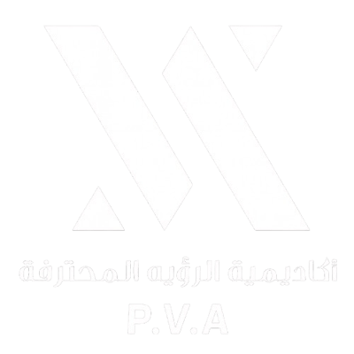فيجن أكاديمي Logo