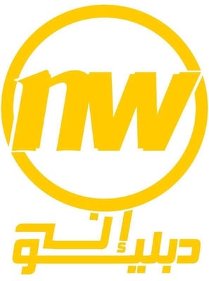 مؤسسة إن دبليو للسباكة و إنارة led logo