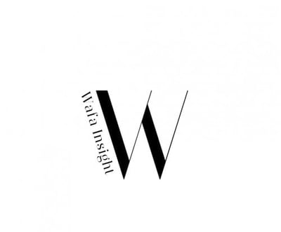 wafainsight logo