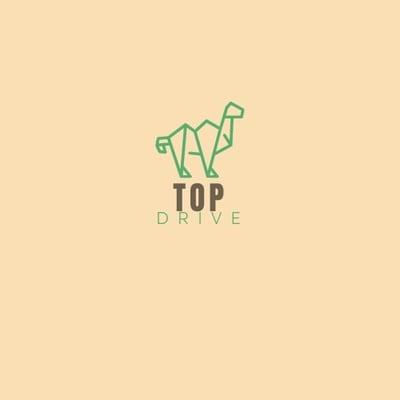 TopDrive
