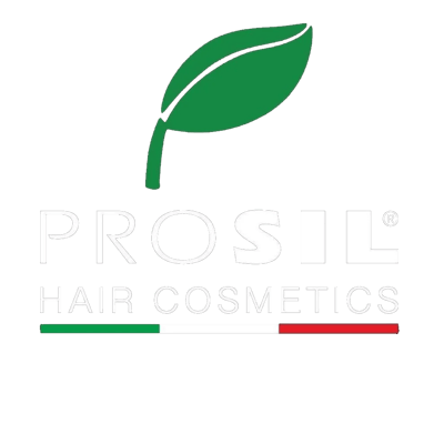 PROSIL Logo