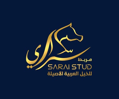 أكاديمية سراي logo