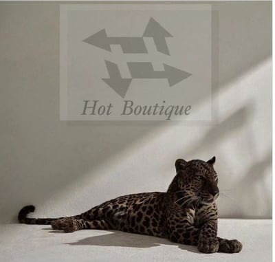 Hotboutique logo