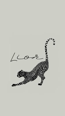 Lior logo