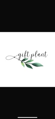 gift plant