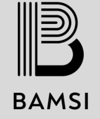 Bamssi logo