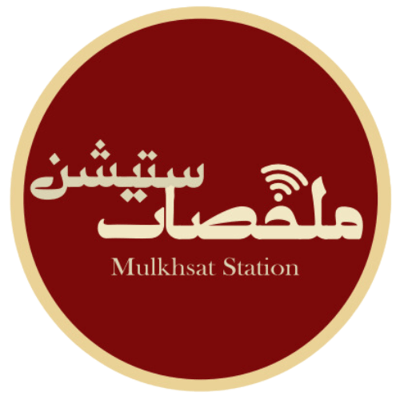 ملخصات ستيشن logo