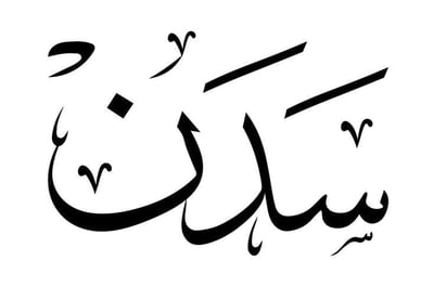 متجر سدن logo