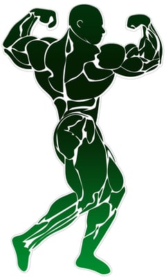 HULK SUPPLEMENT logo