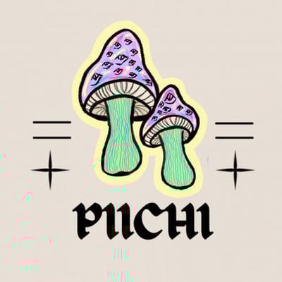 piichi.store logo