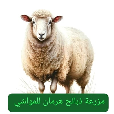 مزرعة ذبائح هرمان للمواشي logo