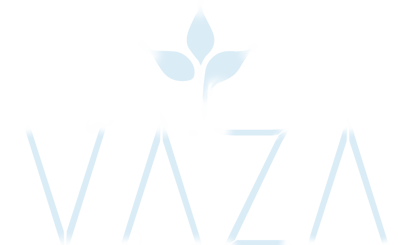 VAZA logo