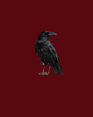 BLACKBIRD logo