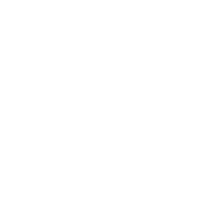 electroniczonee logo