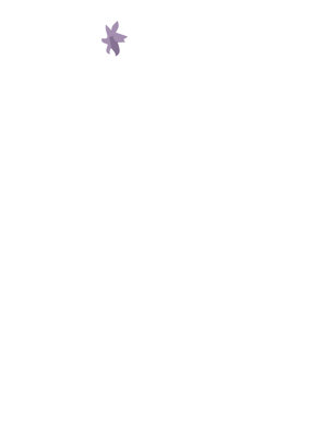 Chicabaya logo