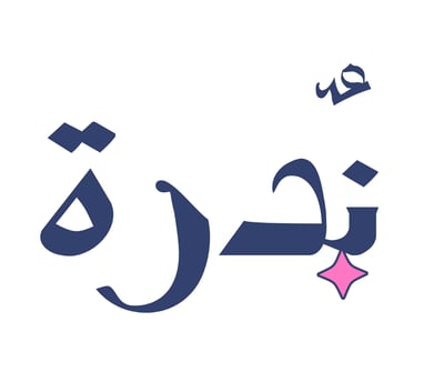 NS logo