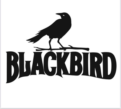 بلاك بيرد-BLACK BIRD logo