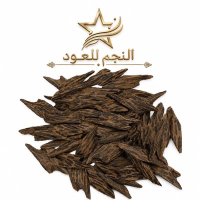 Logo of النجم للعود