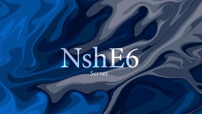 NshE6 logo