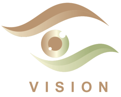 VISION logo