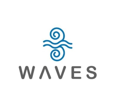 3waves logo