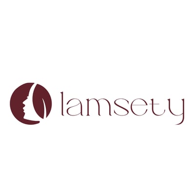 lamsety logo