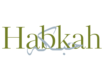 حبكه logo