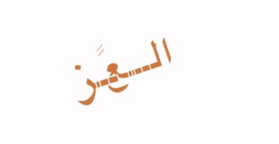 العًــز
