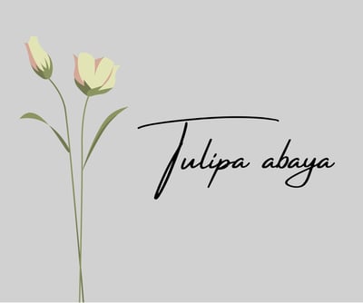 Tulipa logo