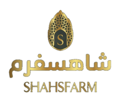 شاهسفرم logo