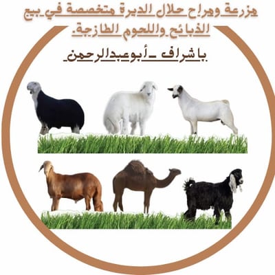 مزرعة ومراح حلال الديرة للذبايح واللحوم logo
