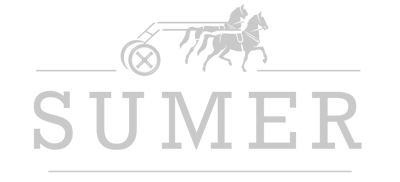 sumer logo