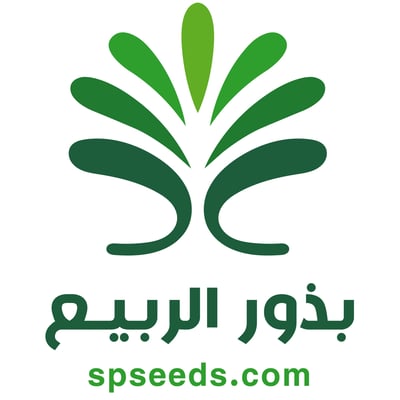 بذور الربيع logo