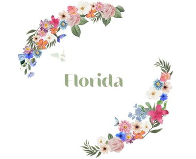 Florida logo