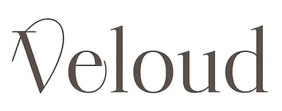 Veloud logo
