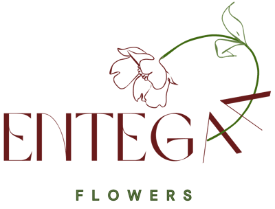Entegaa logo