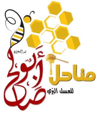ابو صالح للعسل logo