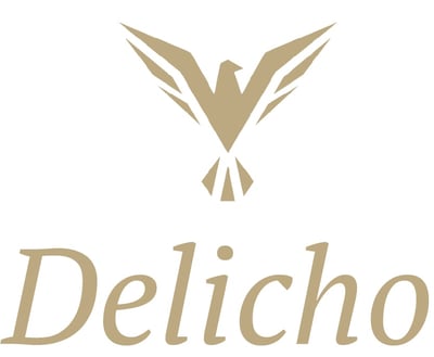 ديليتشو شوكليت logo