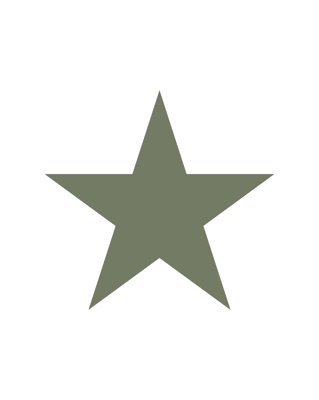 VÉGA - فيغا logo